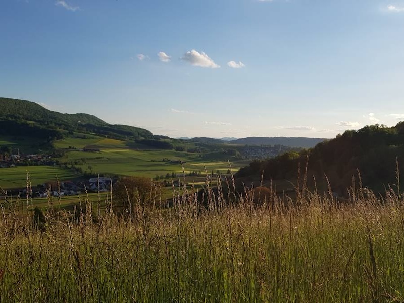 Wehntis Naturlehrpfad