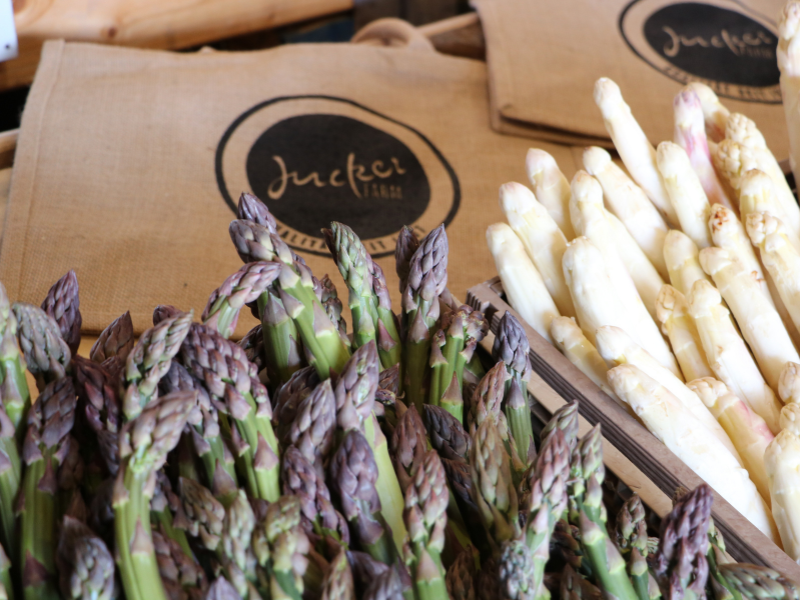 StaZu kleine Inhaltsbilder (2)