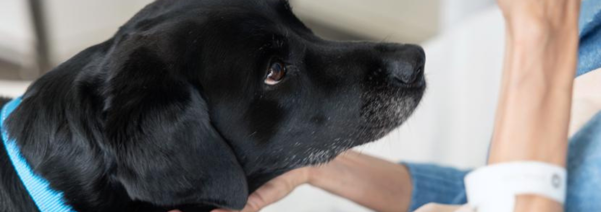 StaZu Headerbild (8)