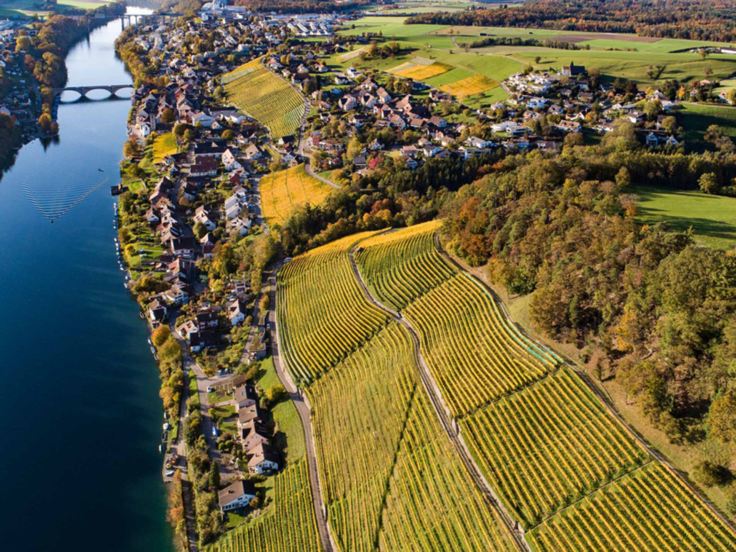 Weingut Bechtel