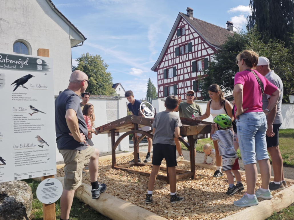 Vogel-Trail Bachs