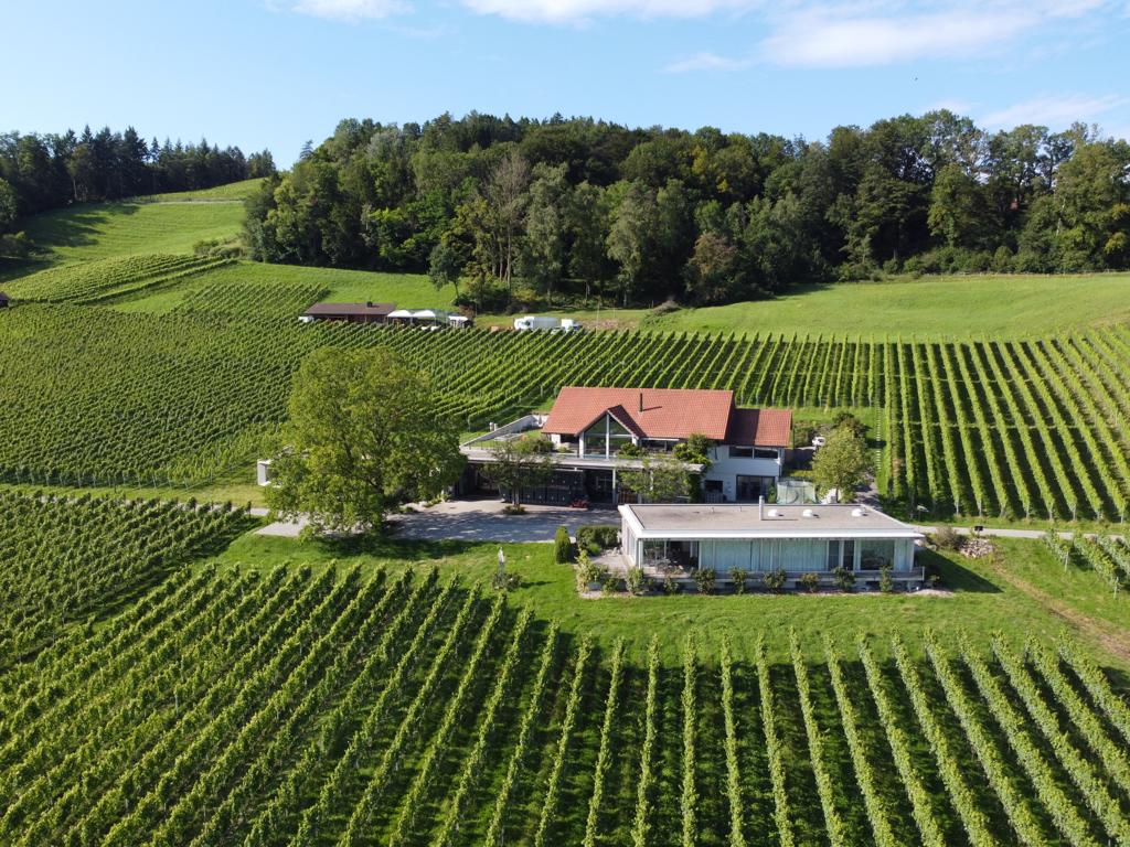 weingut-nadine-saxer